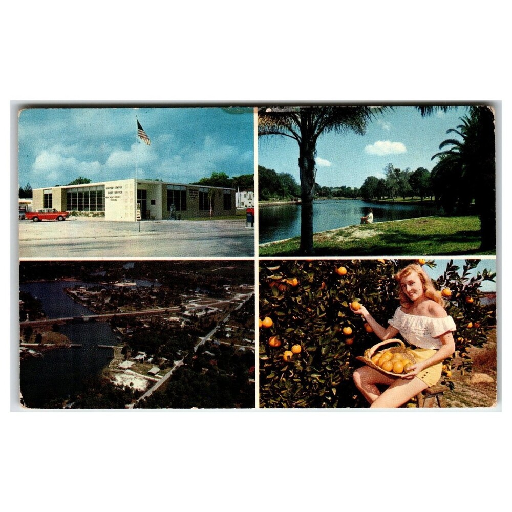 New Port Richey Florida Post Office Orange Grove Vintage Postcard